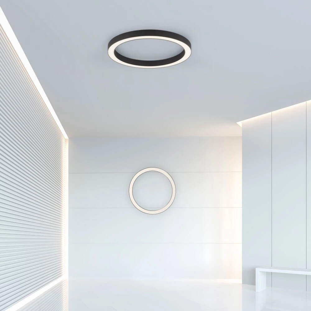 Ronde vloerlamp Pure Lines Round Ø 50cm antraciet Paul Neuhaus 4012248375853
