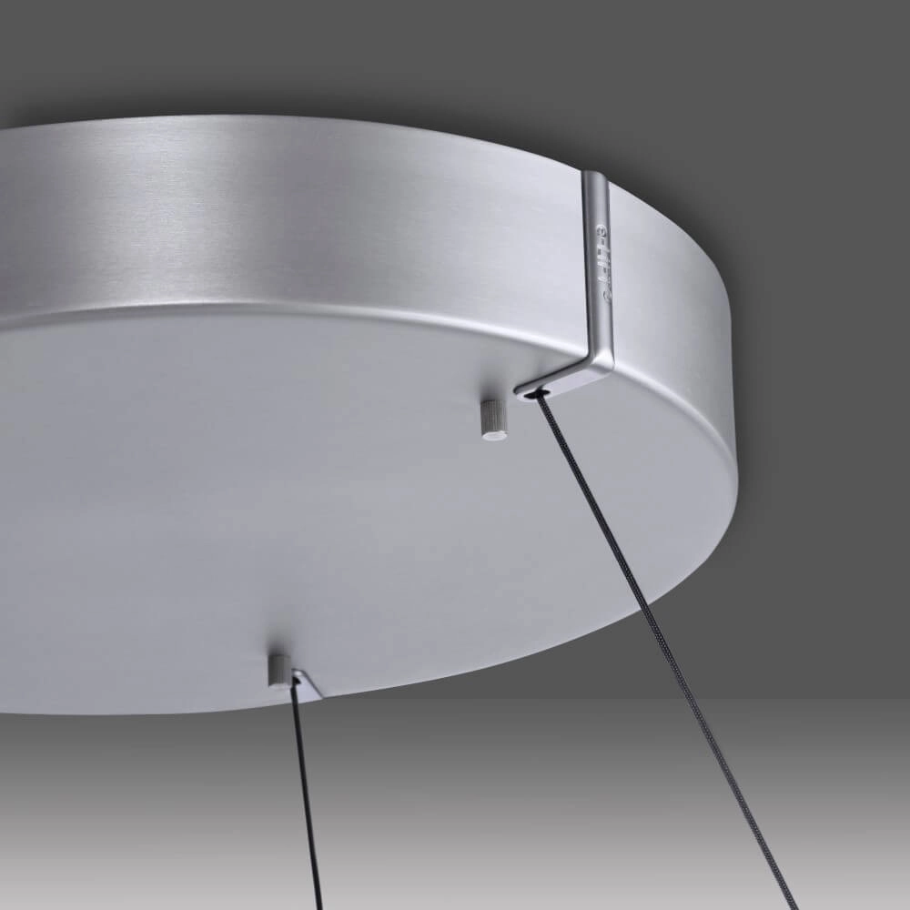 Strakke hanglamp Pure E-Loop aluminium Paul Neuhaus 4012248372272