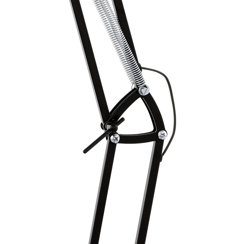 Vloerlamp Borgillo zwart Eglo 9002759946982