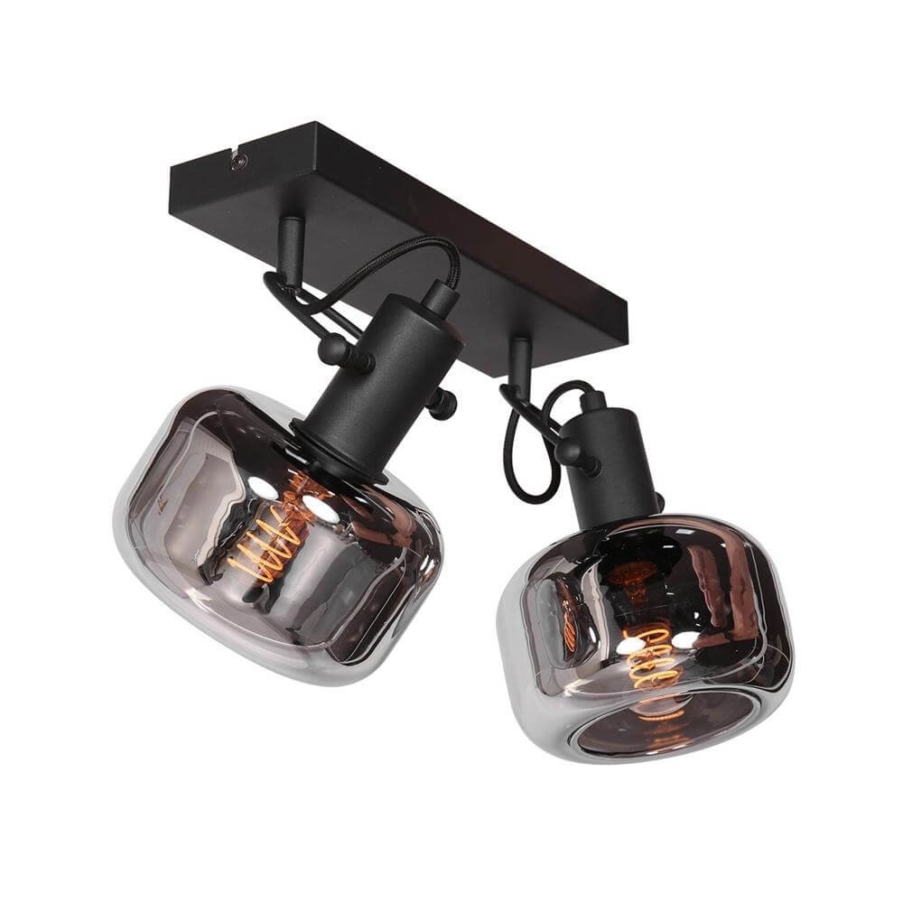 Dubbele wandlamp Glaslic smoke glas Steinhauer 8712746174076