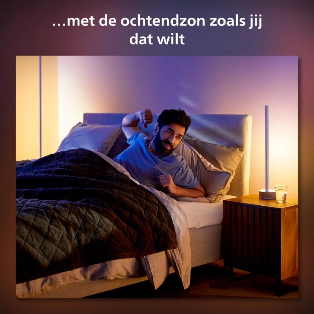 Slimme vloerlamp Hue Signe - White and color Philips 8719514433526