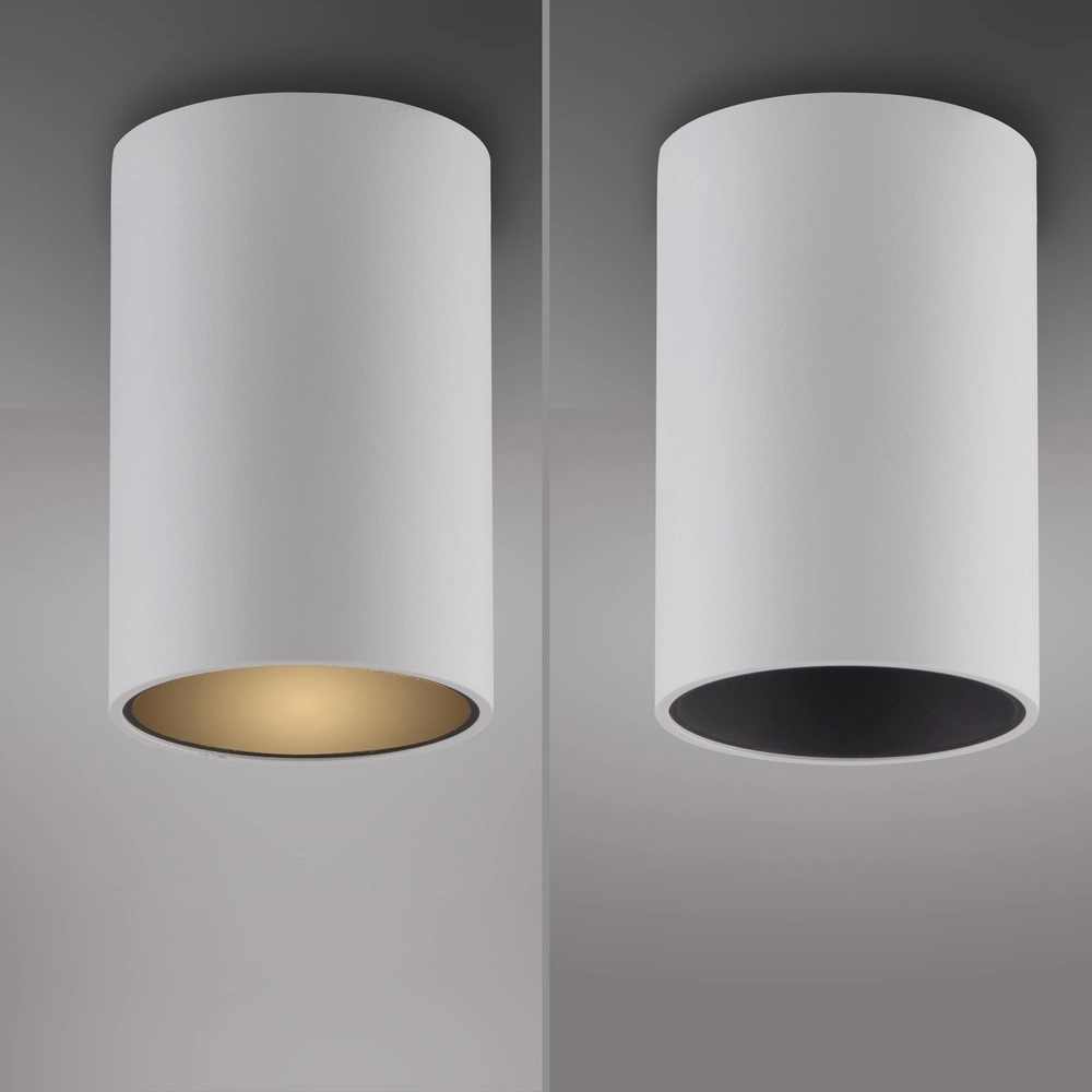 Plafond opbouwspot Pure Point Ø 6cm - wit Paul Neuhaus 4012248395660