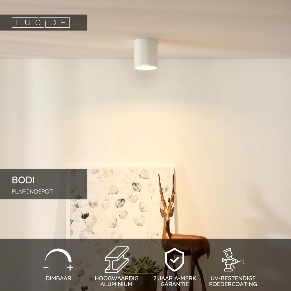 Plafondspot Bodi Ø 8cm wit Lucide 5411212091543