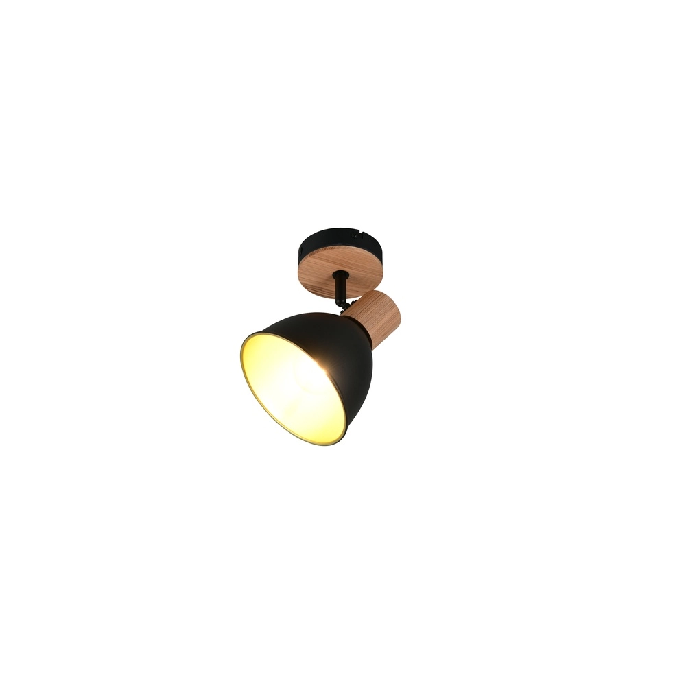 Plafondlamp Delume enkel zwart Trio 4017807672237