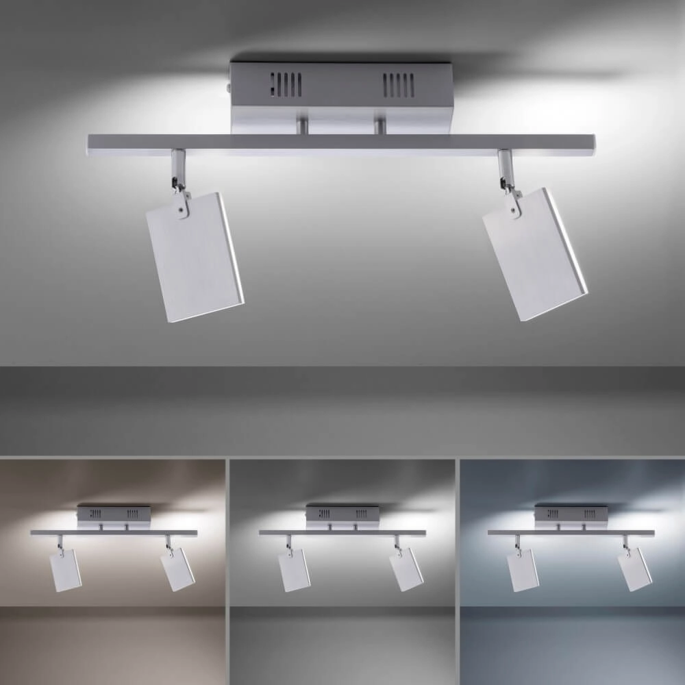 Plafondlamp Pure Mira 2-lichts aluminium Paul Neuhaus 4012248358863