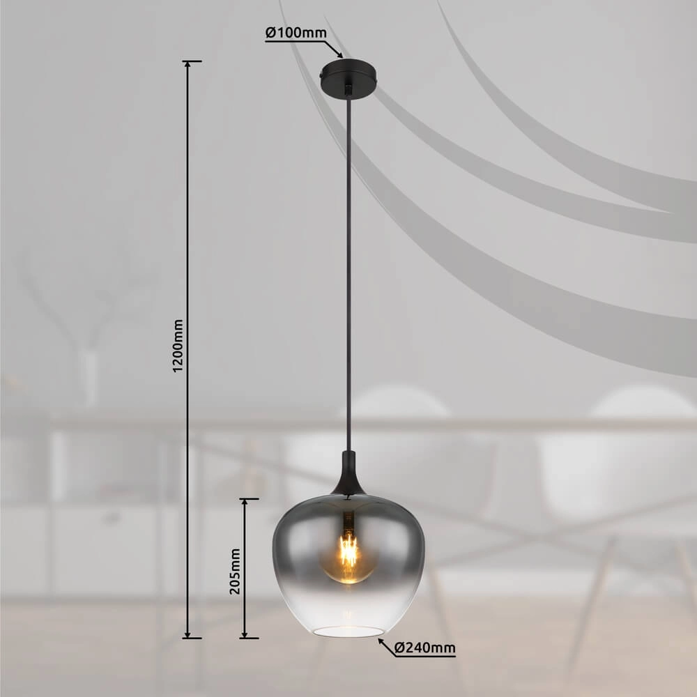 Zwarte hanglamp Maxy enkel Ø 24cm Globo 9007371438396