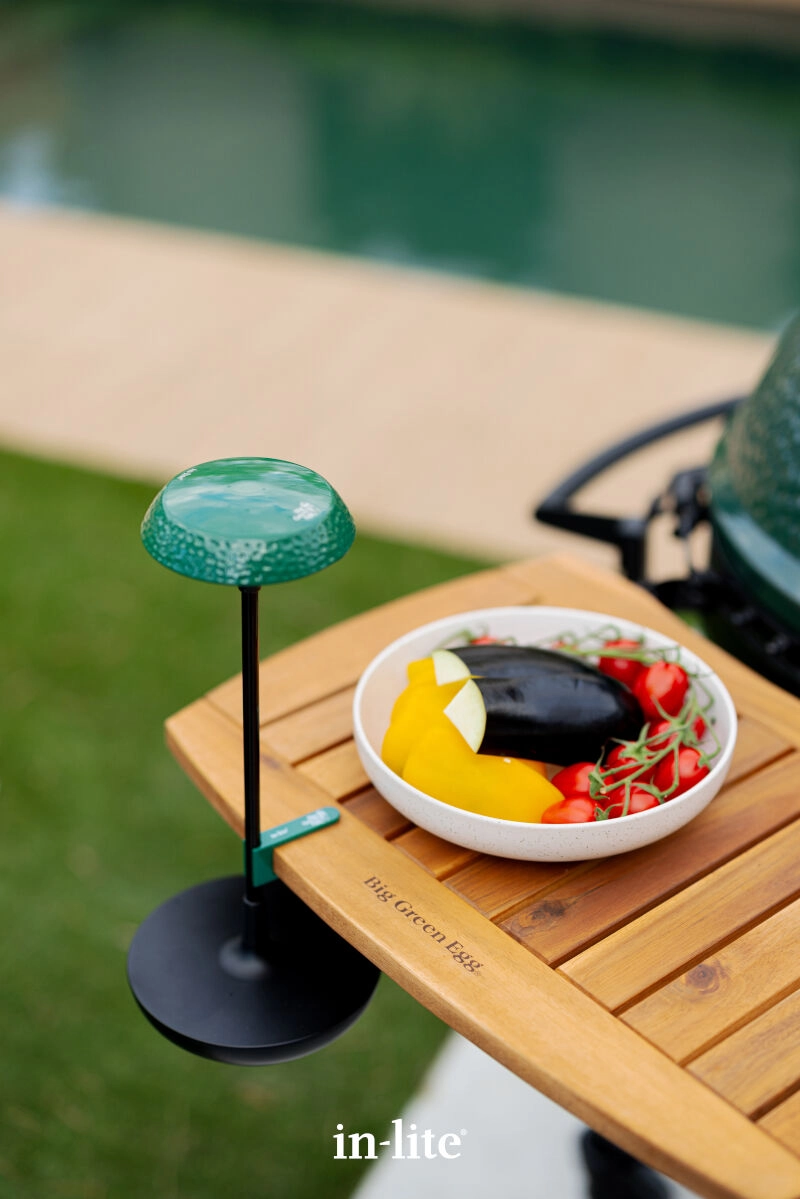 Bruine hanglamp Sway Table Green Egg Edition In-lite 8717051006494
