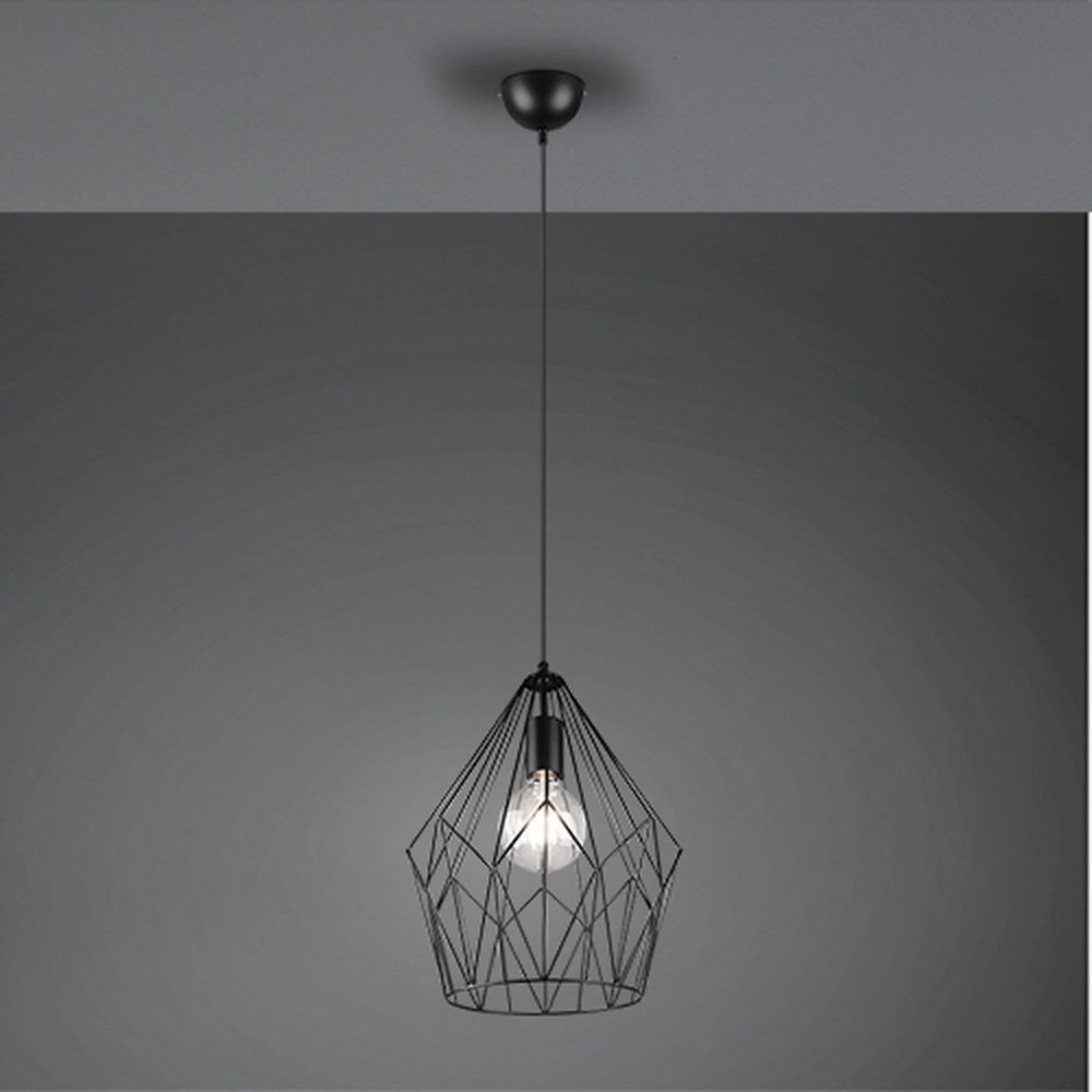 Hanglamp Cage zwart Trio 4017807475920