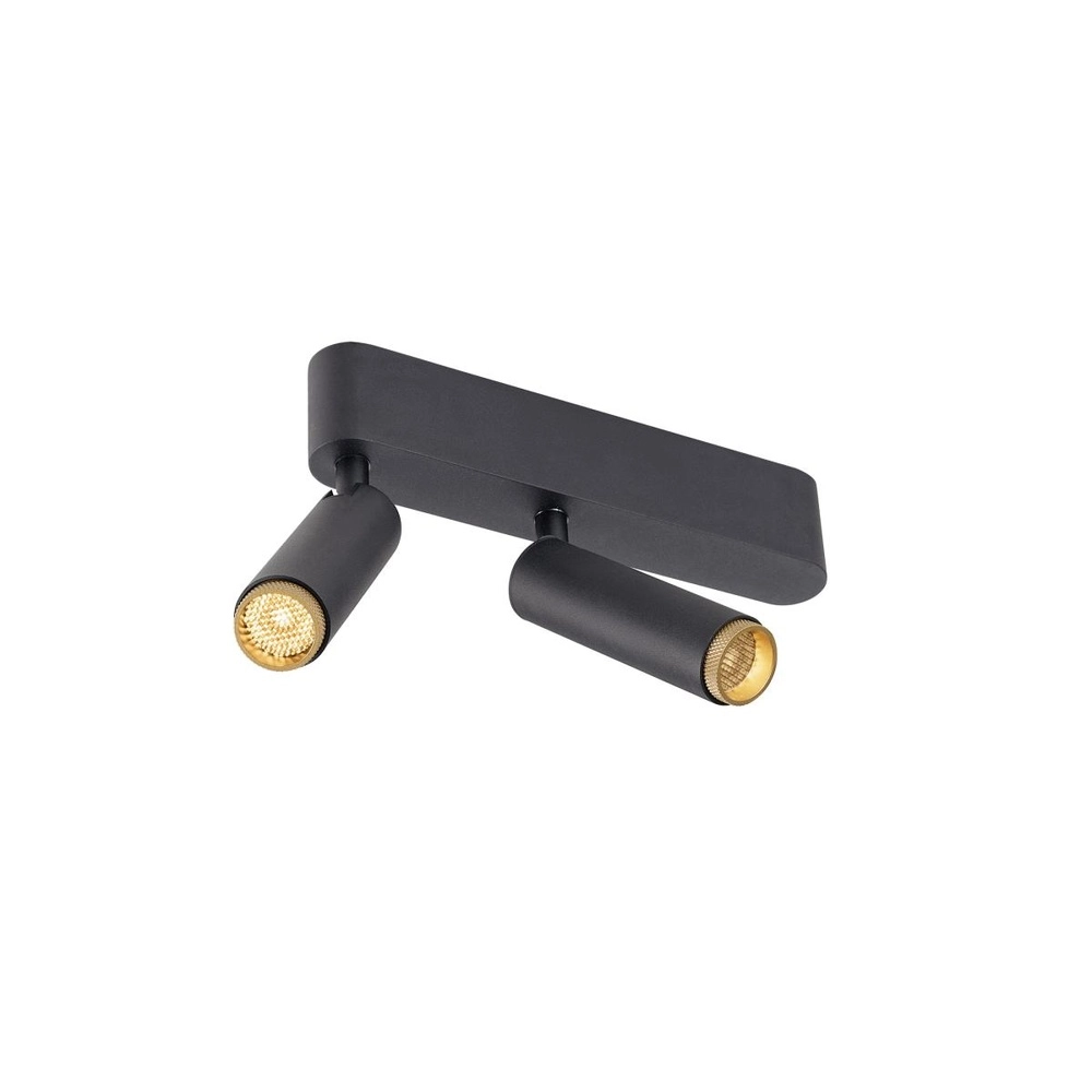 Opbouwspot Grip! S 2-lichts zwart 2700K