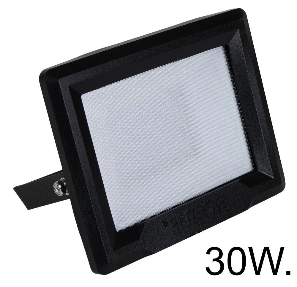 30W schijnwerper Spotpro