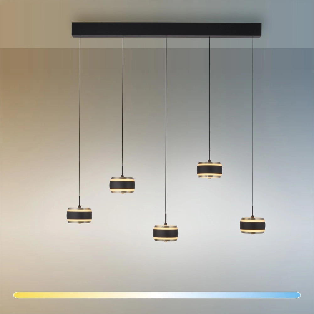 5L eettafel hanglamp Pure Falling Rings black pearl Paul Neuhaus 4012248396575