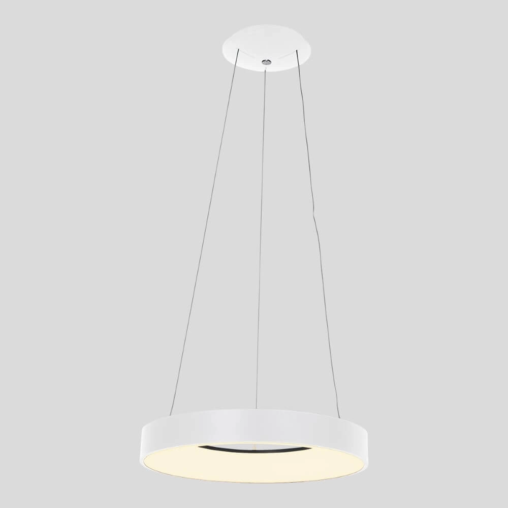 Led hanglamp Ringlede Ø 48cm Steinhauer 8712746132854