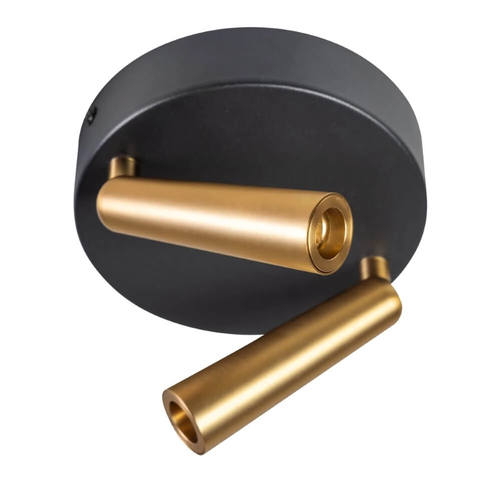 Design plafondlamp Barry 2-lichts