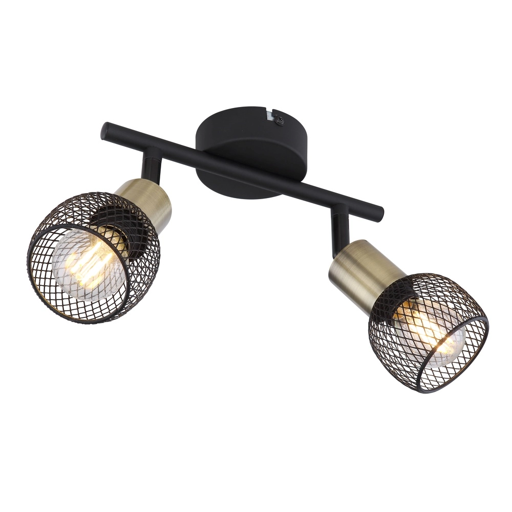 Plafondlamp Fiastra 2-lichts zwart met gaas