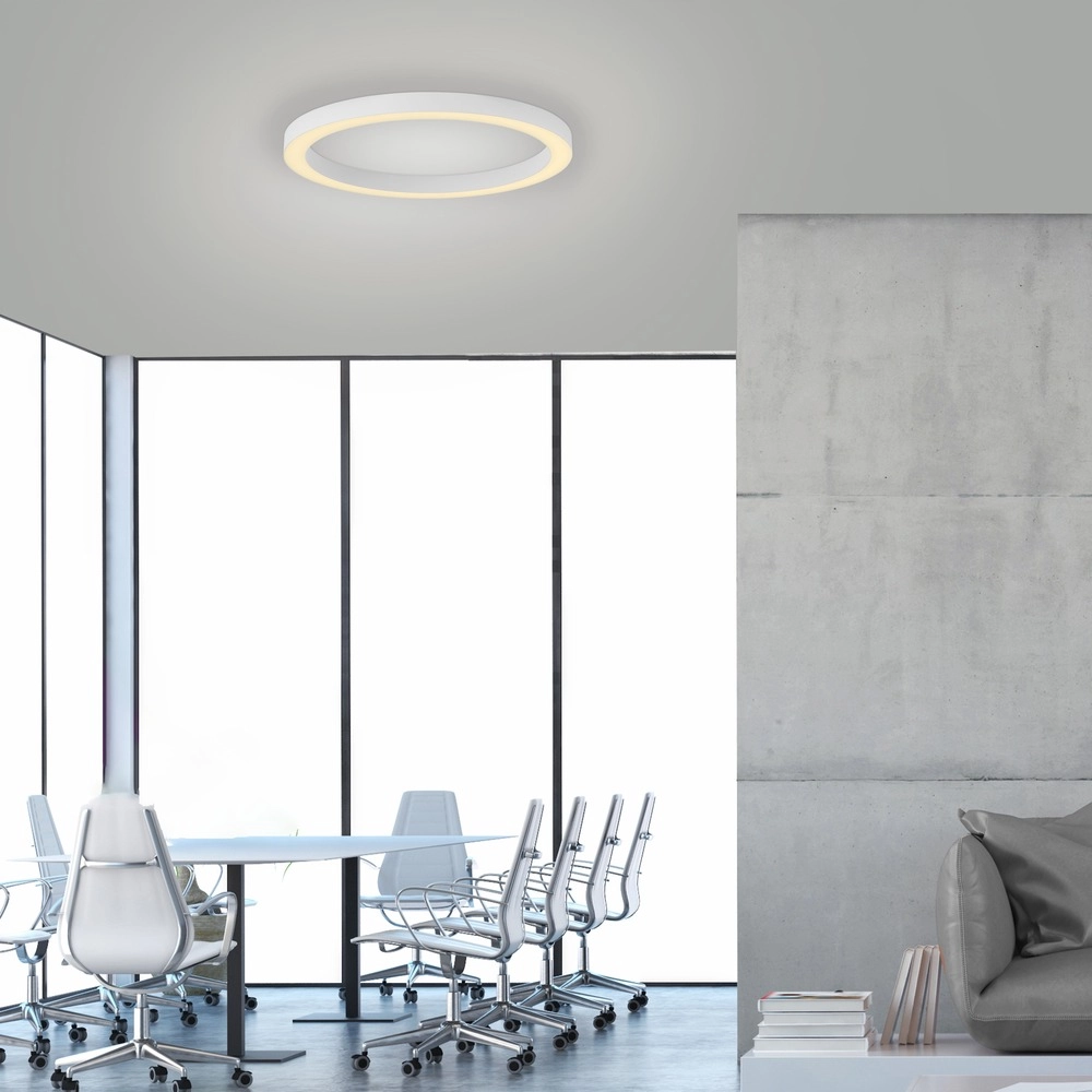Strakke led plafondlamp Pure Lines Round Ø 50cm - wit Paul Neuhaus 4012248395806