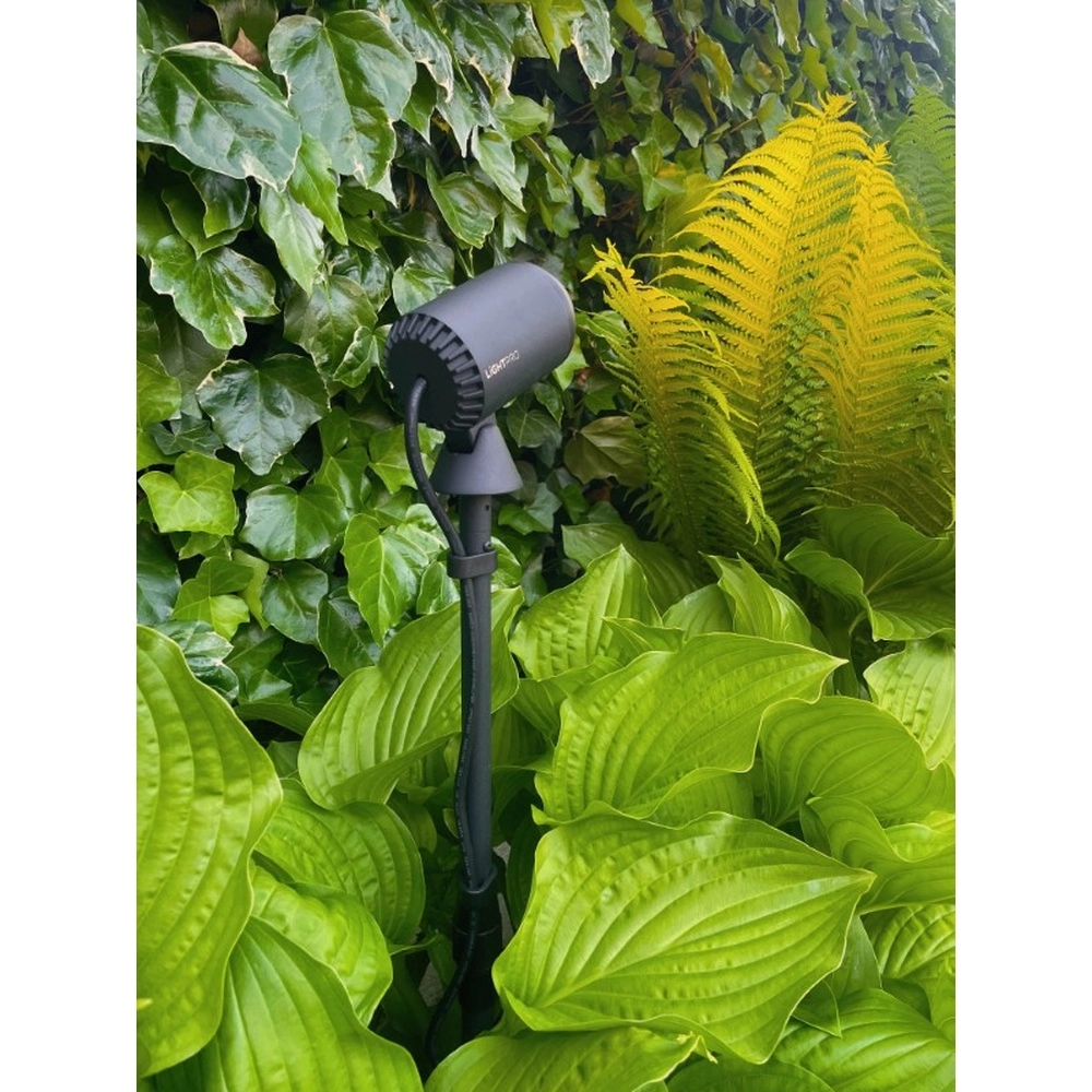 Zwarte Multispike 40 tot 60cm Lightpro 8719979284459
