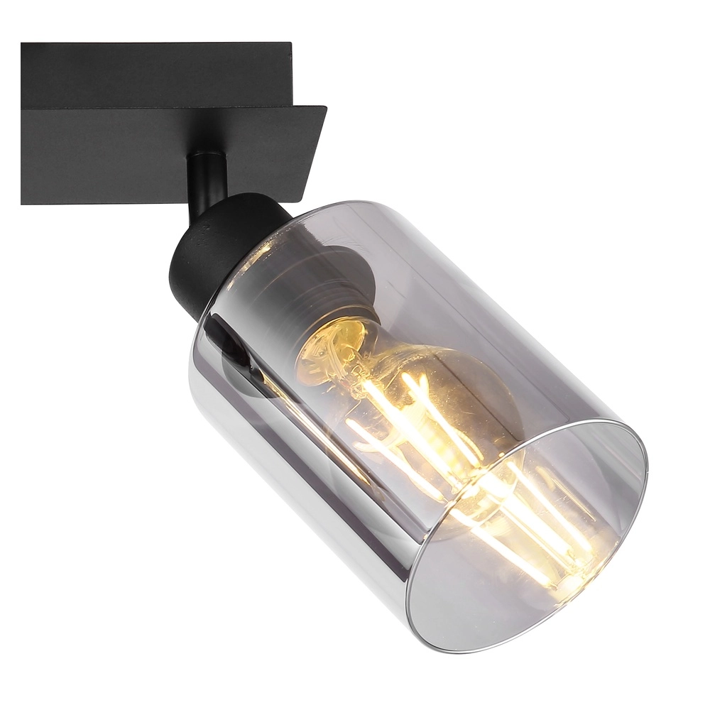 Plafondlamp Hadera 2-lichts zwart met smoke glas Globo 9007371440214