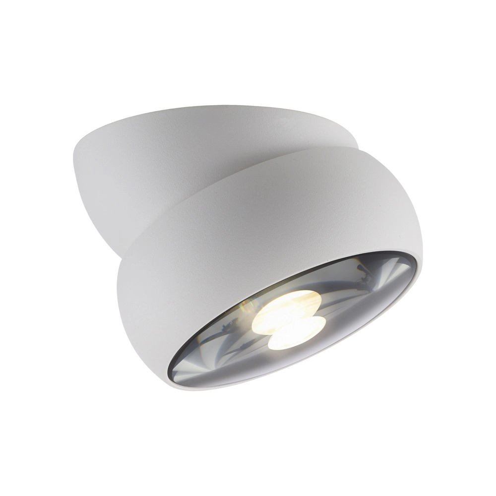 Witte opbouwspot Pure Move Ø 11cm - Led Paul Neuhaus 4012248395738