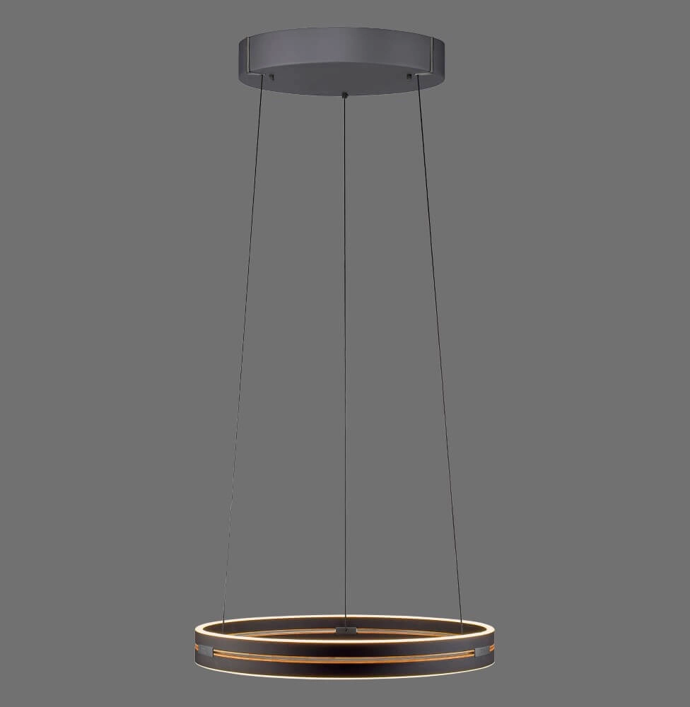 Strakke hanglamp Pure E-Loop zwart Paul Neuhaus 4012248386224
