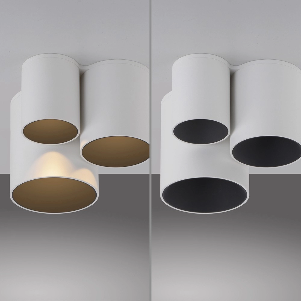 3L plafondlamp Pure Point wit Paul Neuhaus 4012248395707