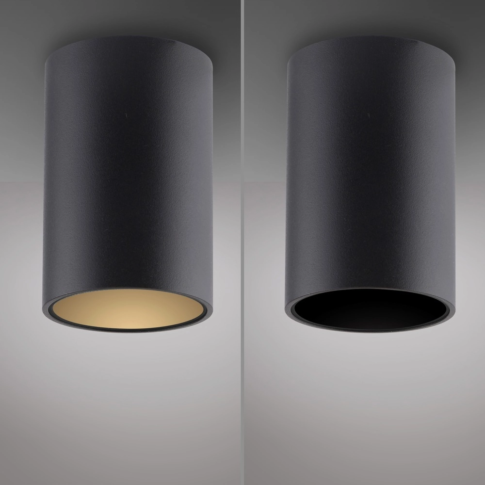 Plafond opbouwspot Pure Point Ø 6cm - black pearl Paul Neuhaus 4012248395677