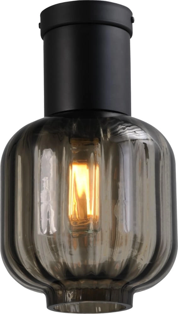 Plafondlamp Lett lll Design