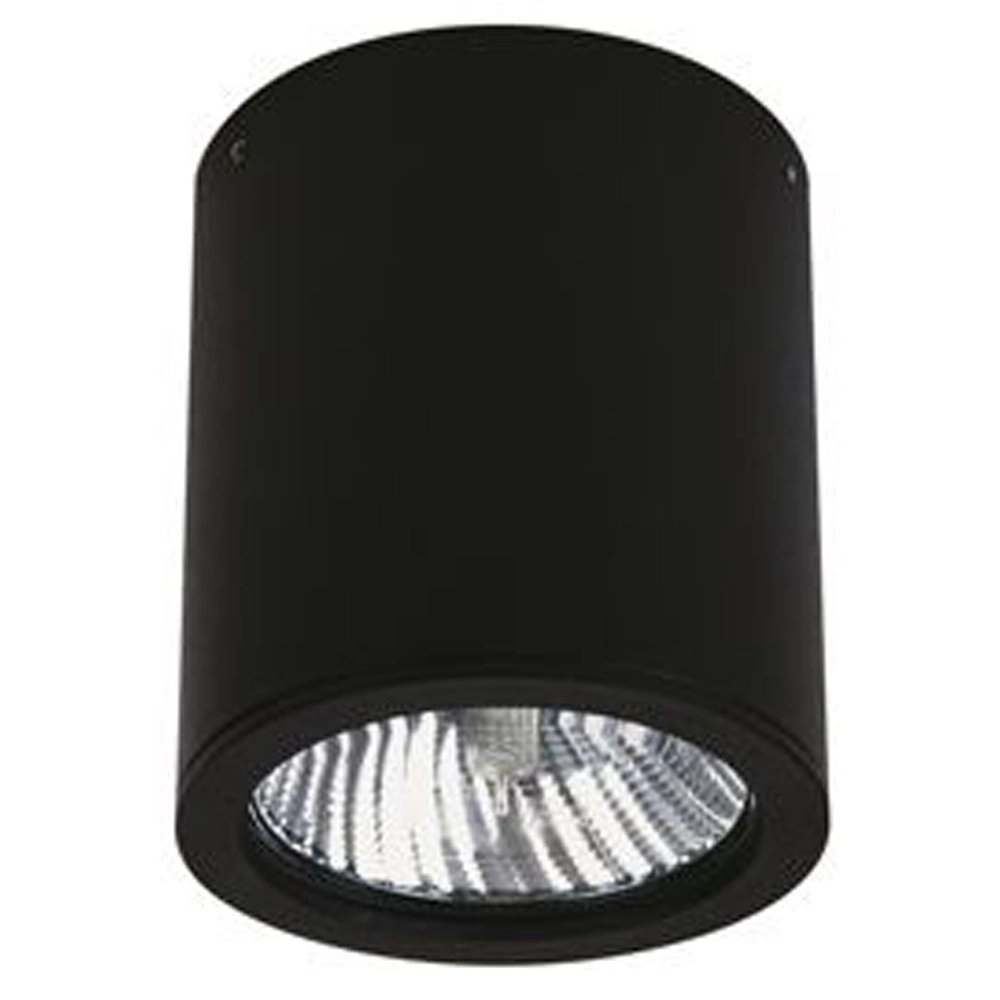 Plafondspot Yori 12w - zwart