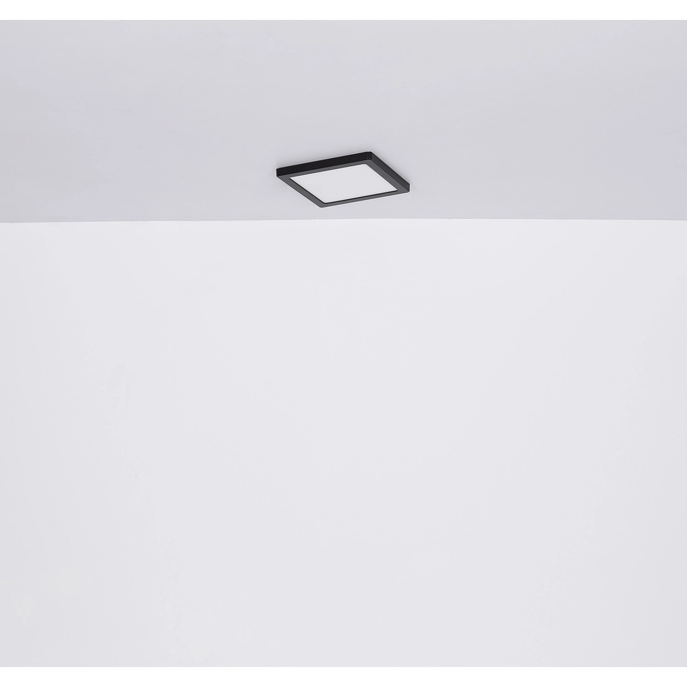 Design plafonniere Lasse vierkant zwart 16,7cm Globo 9007371439898