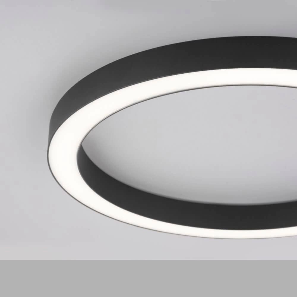 Ronde vloerlamp Pure Lines Round Ø 50cm antraciet Paul Neuhaus 4012248375853