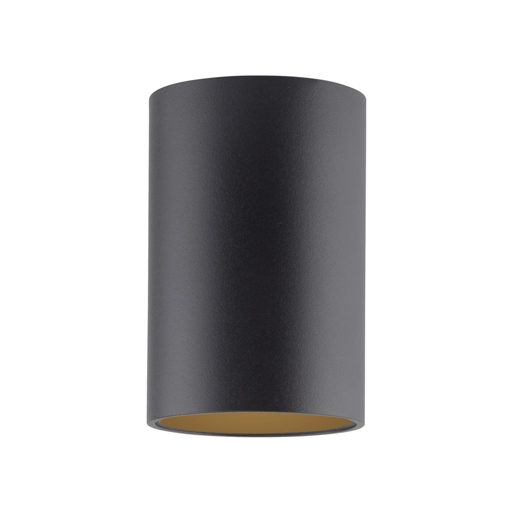 Plafond opbouwspot Pure Point Ø 6cm - black pearl Paul Neuhaus 4012248395677