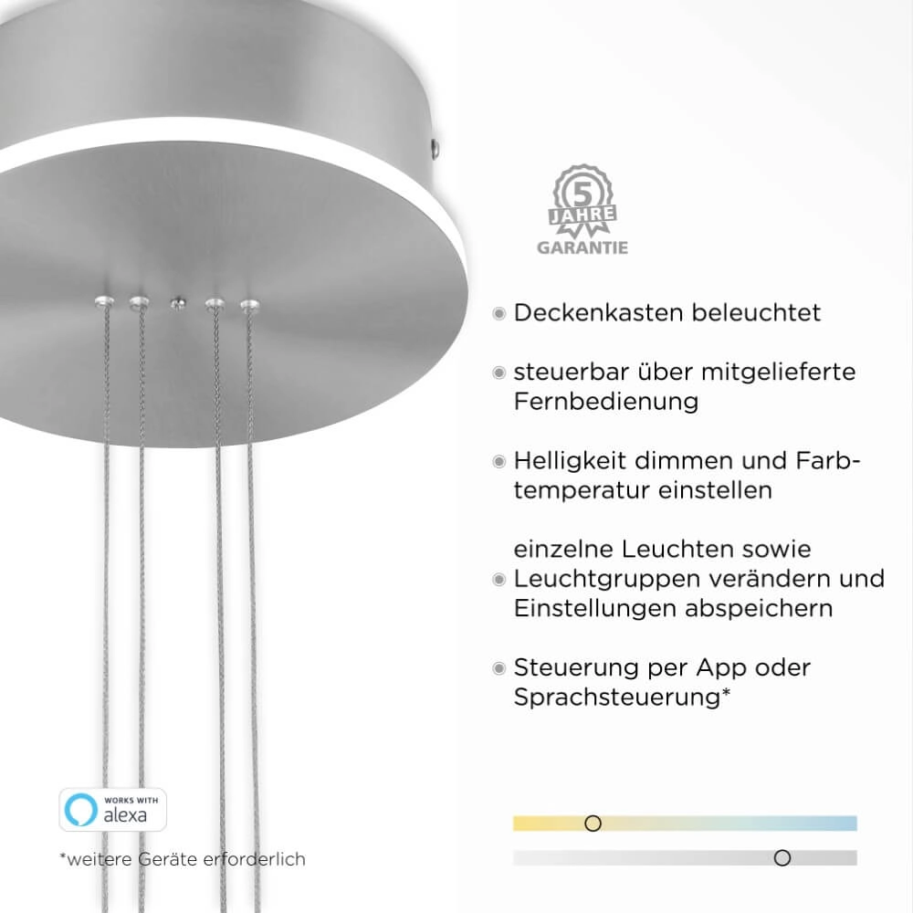 Design hanglamp Q-Etienne metaal Paul Neuhaus 4012248350386