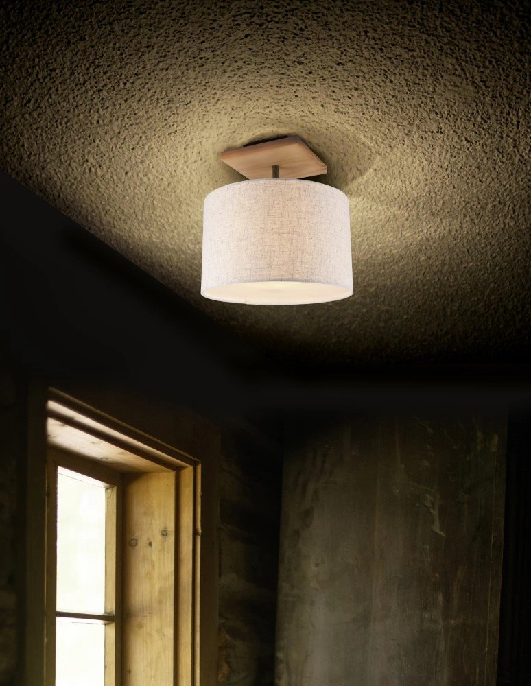 Plafondlamp Elmau Trio 4017807491500