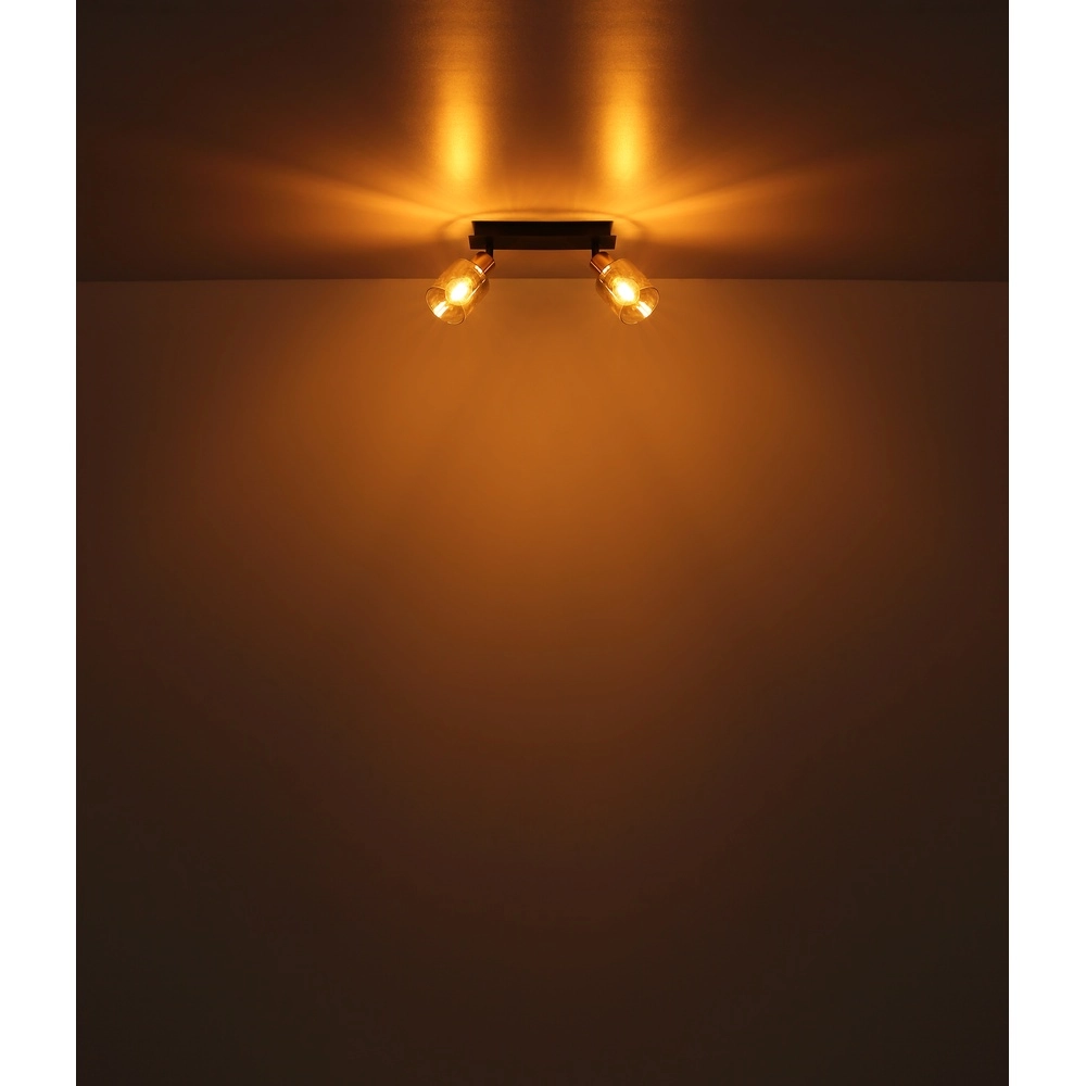2-lichts plafondlamp Hollsy zwart met smoke glas Globo 9007371445851