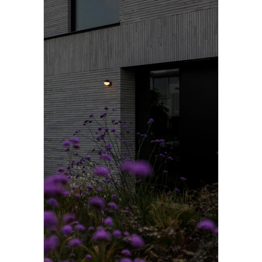 Bol buitenlamp Looma enkel - Ø 10cm Lutec 6939412016467