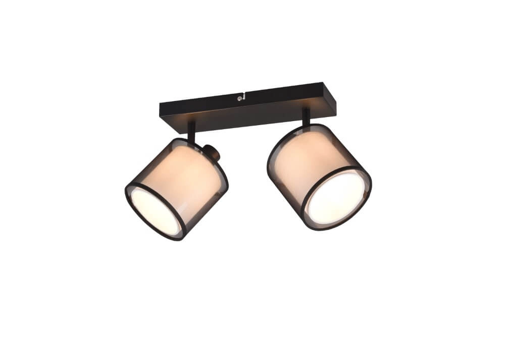 Zwarte plafondlamp Burton 2-lichts Trio 4017807538359