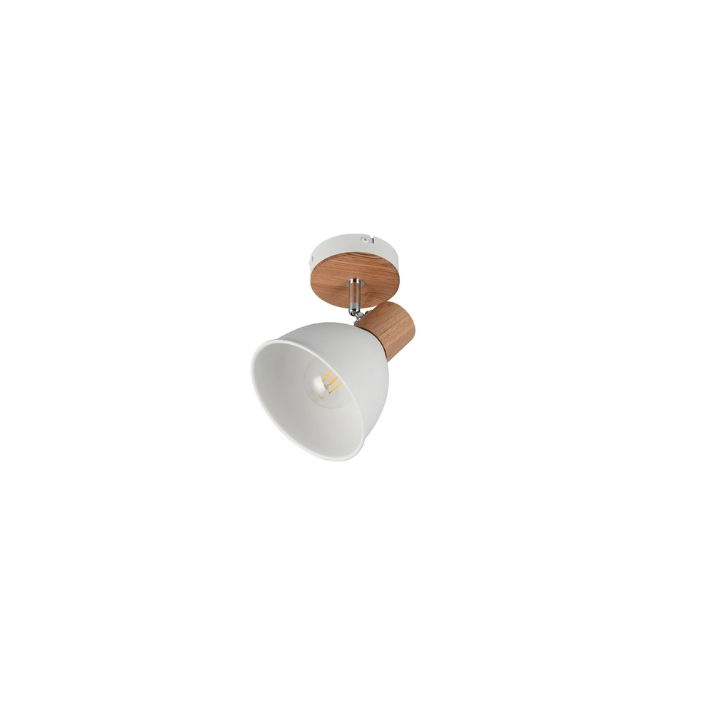 Plafondlamp Delume enkel wit Trio 4017807672213