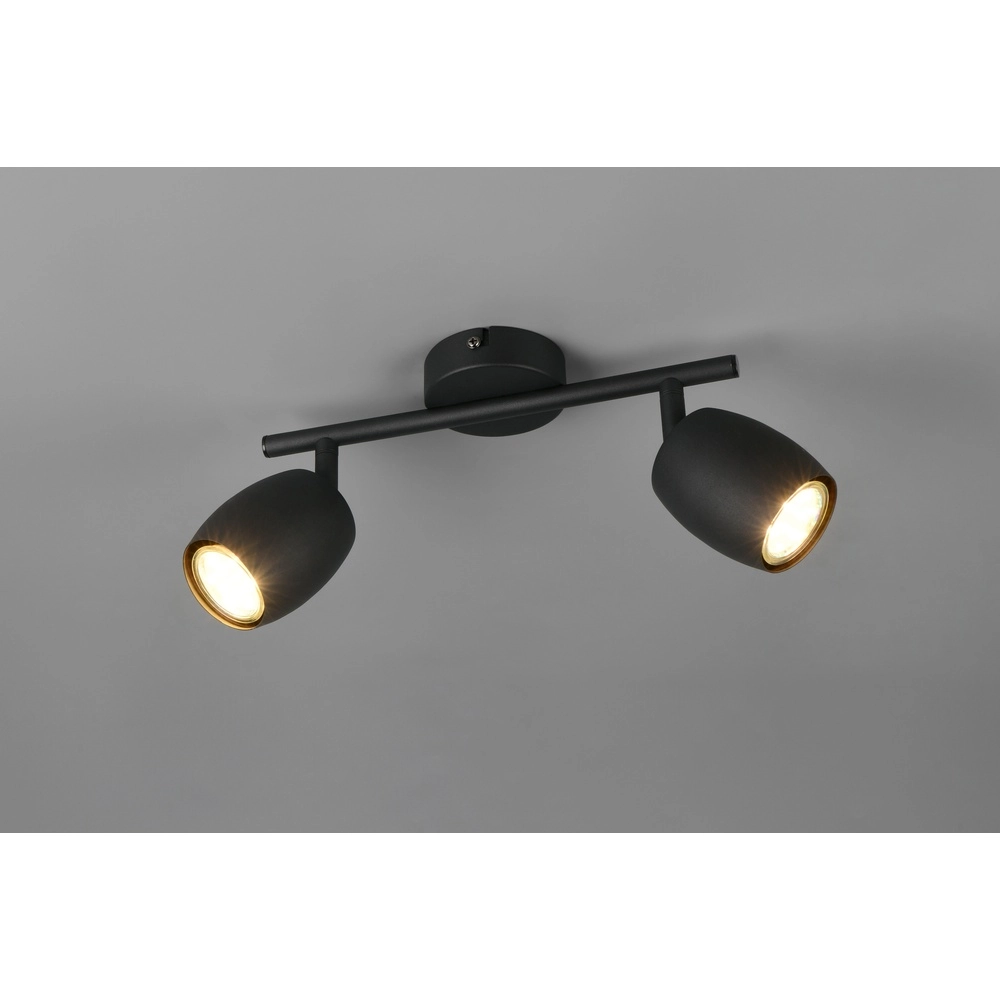 Plafondlamp Nancy 2-lichts zwart Trio 4017807656602