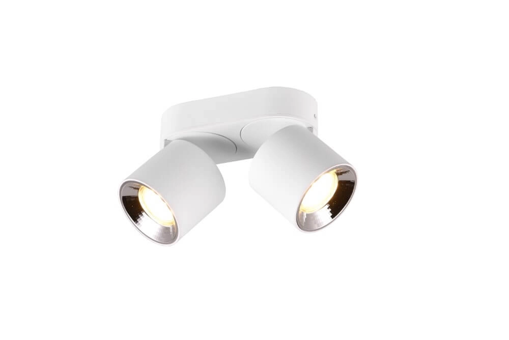 Plafondlamp Guayana 2-lichts wit Trio 4017807573954