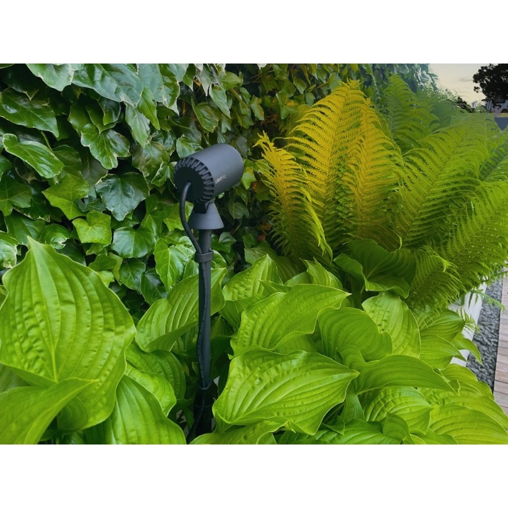 Zwarte Multispike 40 tot 60cm Lightpro 8719979284459