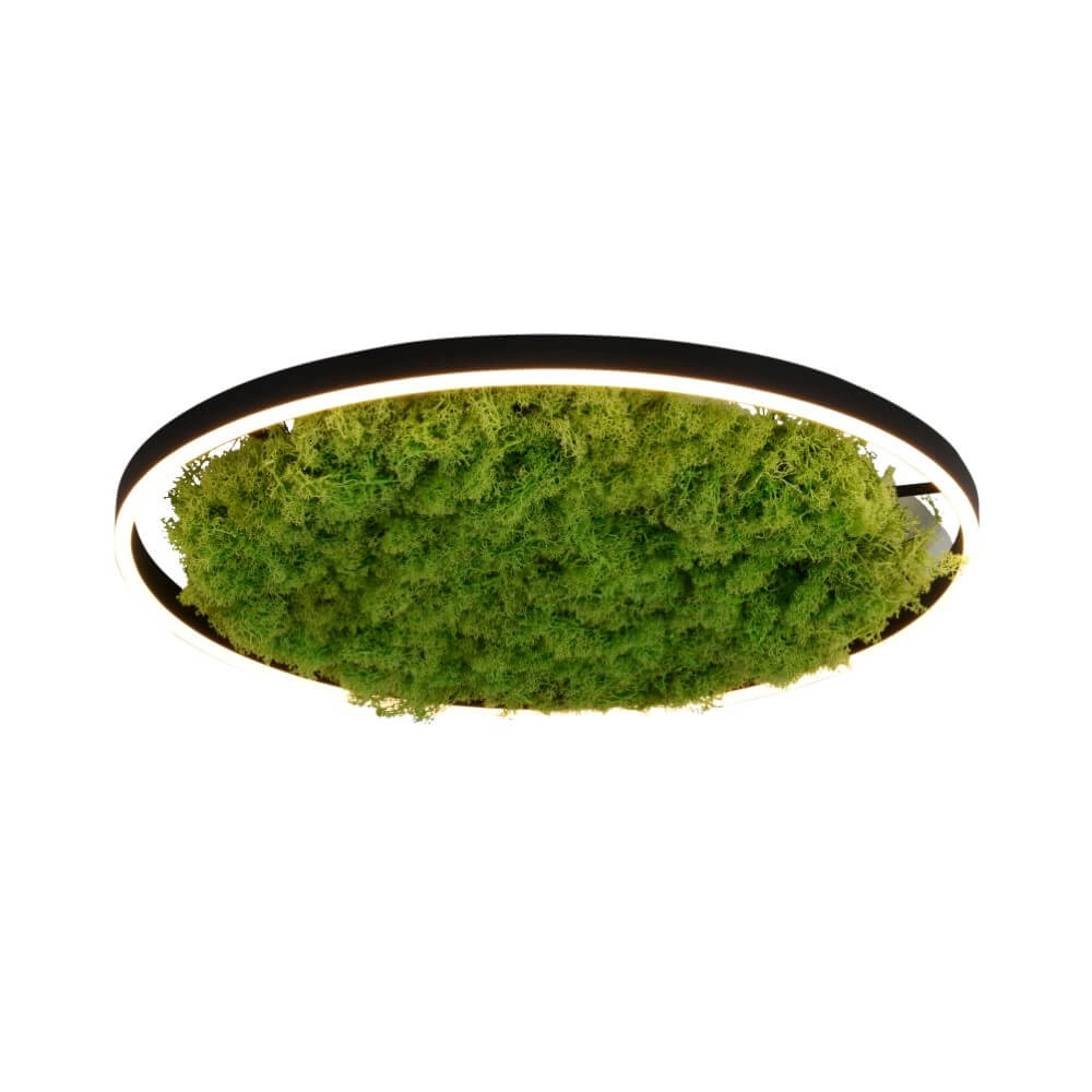 Plafondlamp Green Ritus met mos Ø 58,5cm