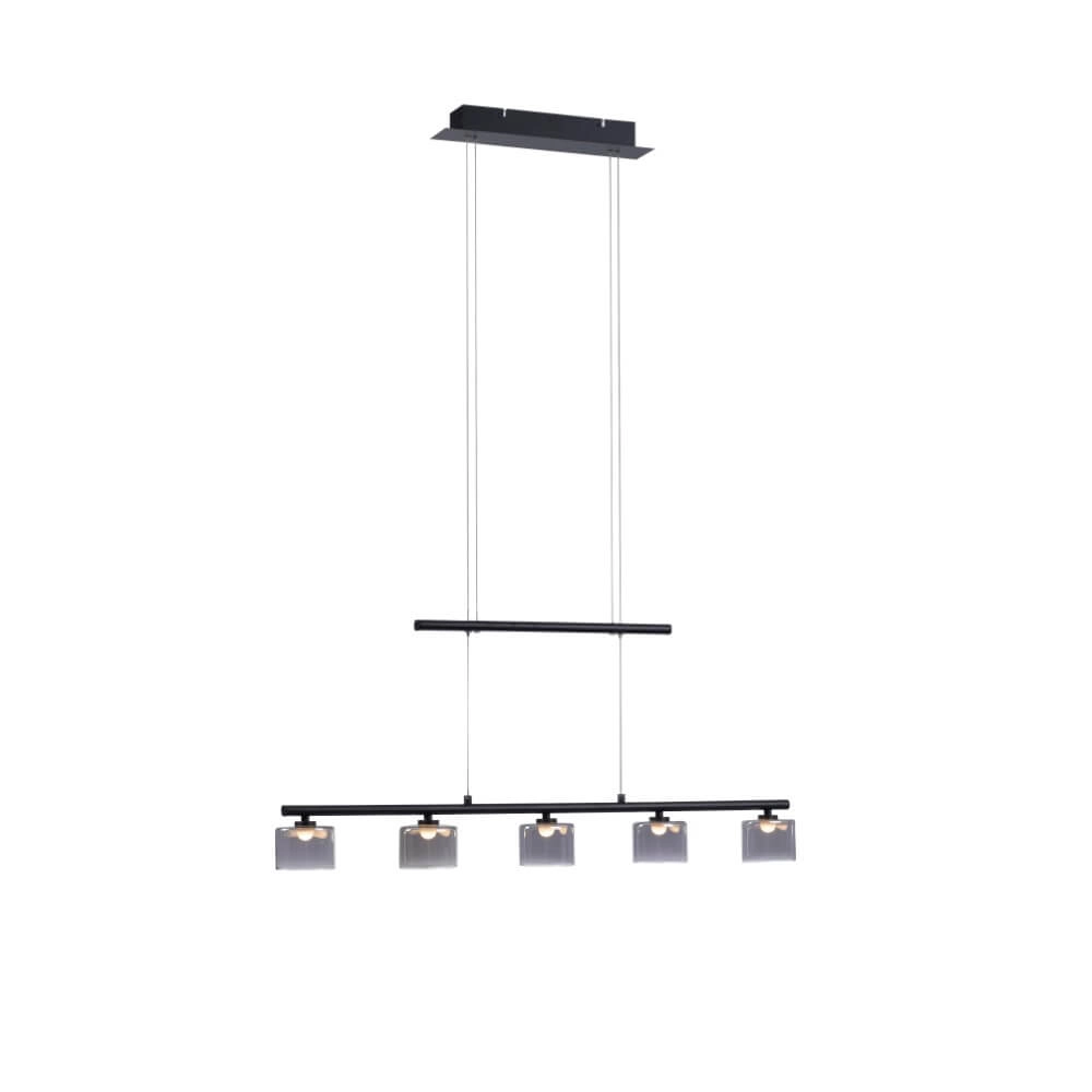 5-lichts hanglamp Hydra zwart
