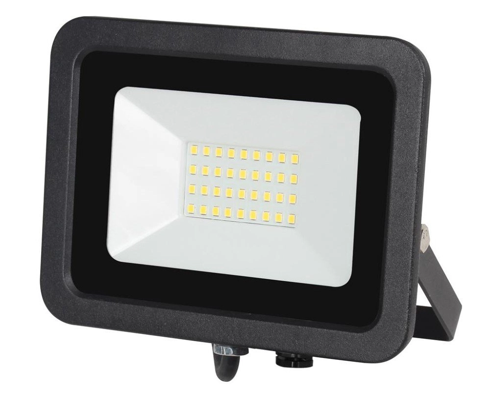 Schijnwerper Assist 20W