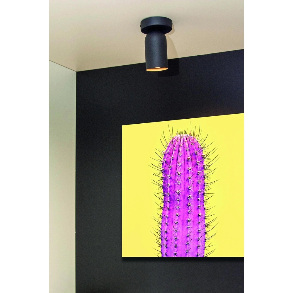 Plafondspot Punch enkel zwart Lucide 5411212134318