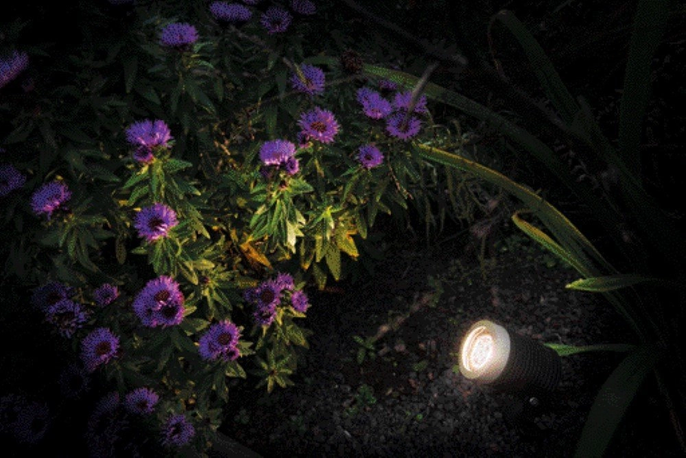LED garden spot Arcus 12V led GardenLights 5907800856613