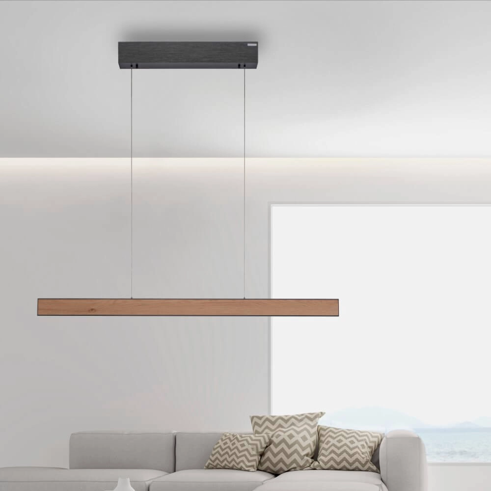 Design hanglamp Pure E-Motion hout Paul Neuhaus 4012248372937