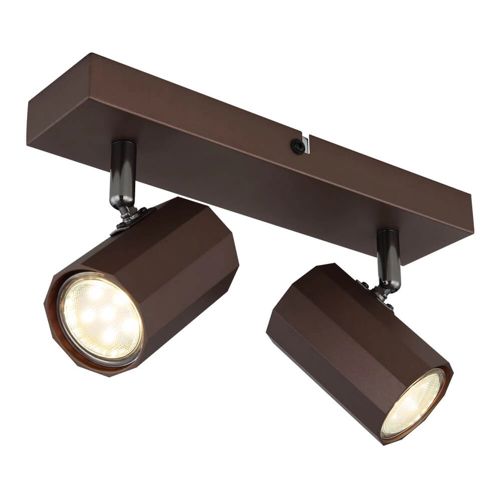 Bronzen plafondlamp James dubbel