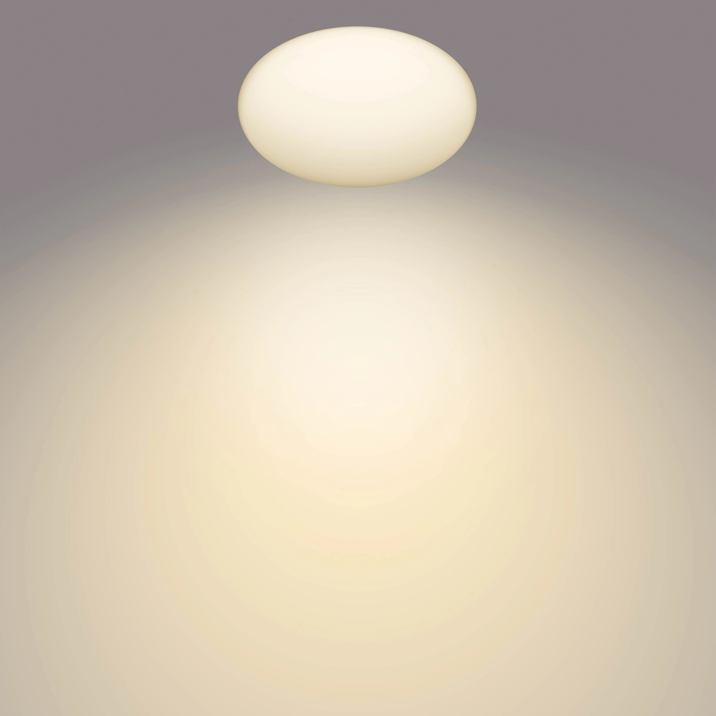 Plafondlamp Shan met bewegingssensor Philips 8718699680534