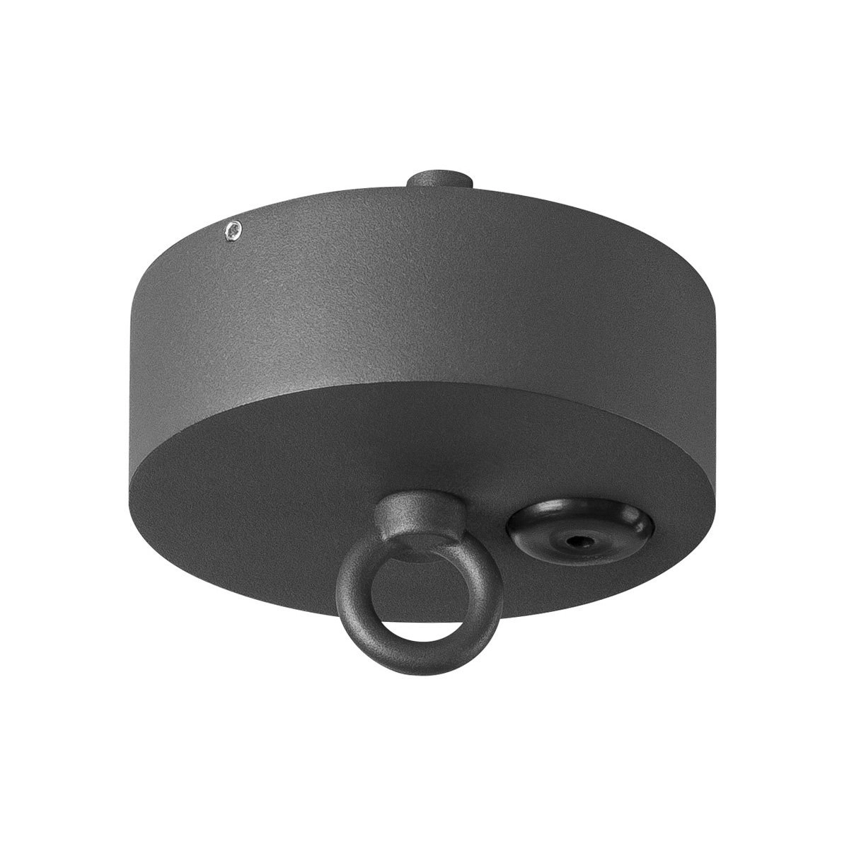 Plafondrozet voor Photonia