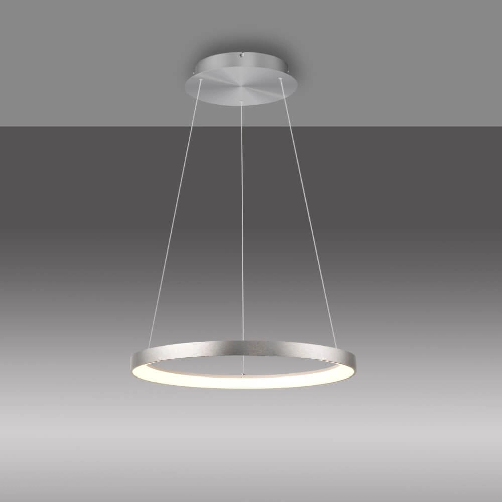 Ronde hanglamp Hoop aluminium Paul Neuhaus 4012248384718