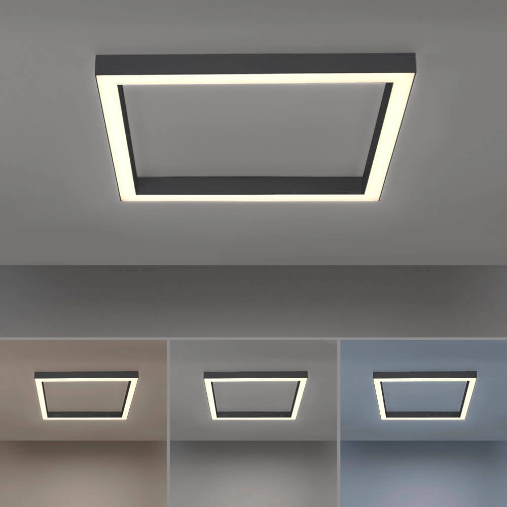 Vierkante plafondlamp Pure Lines Square antraciet Paul Neuhaus 4012248357927